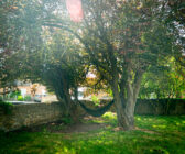 HOUSEEDIT 11